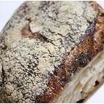 AMPEL GRAINFACTORY - 