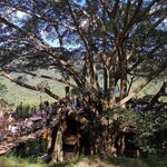 THE GIANT CHIANGMAI THAILAND - 