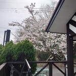 うどん処 満月 - 