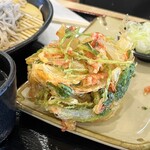信州そば処 小木曽製粉所 - 季節のかき揚げ