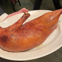 潮夢来 - 