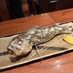 とっぴんぱらりのぷ - 