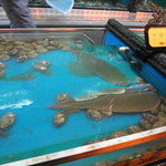 万宝海鮮舫 - 生け簀から好きなモノを選んで、調理法を伝えます
