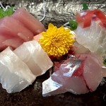 魚河岸 宮武 - お造り御膳のお刺身（アップ）