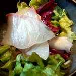 魚河岸 宮武 - 海鮮サラダ（アップ）