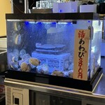 かど屋 - アワビの水槽