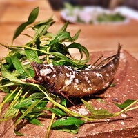 浅草じゅうろく - 天然鮎の炭火焼