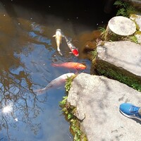 うかい鳥山 - 