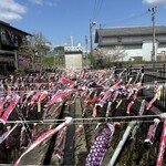 とんかつ亭有家 - 