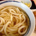 本格さぬきうどん　穂乃香 - ひやかけ驚異の300円＋とり天串100円！