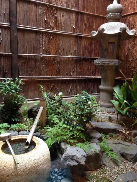 Kuromame Saan Kitao Nishiki Ten photo 5