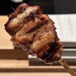 鳥カミ - かしわ