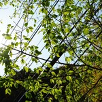 アロマフレスカ 熱海林ガ丘 - 