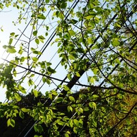アロマフレスカ 熱海林ガ丘 - 