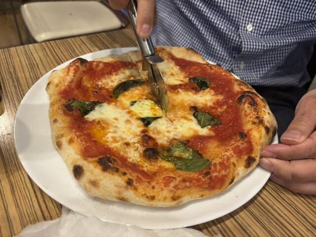 Golden Bears Toyota Shi