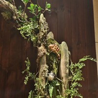Selvaggio - 