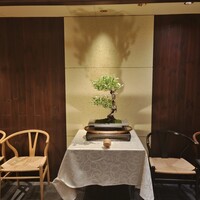 Selvaggio - 