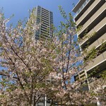 ビストロ ランプ - 