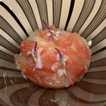 レスピラシオン - 