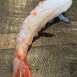 すし処司 - ボタンエビ