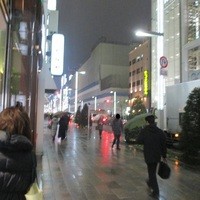 銀座 ハプスブルク・ファイルヒェン - 雨の銀座