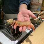 銀座鮨処 まぐろ相馬水産 - 