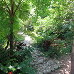 Cａｆｅ ichara - 自然に癒されます♪