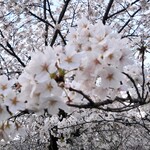 ティーハウス ローズマリー - 