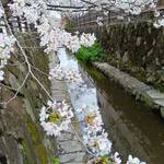 ティーハウス ローズマリー - 