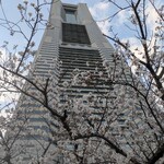 中国料理 皇苑 - 