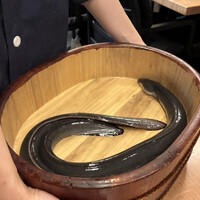 銀座 四代目 高橋屋 銀座店 - 