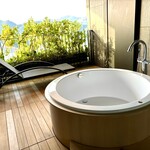 ホテルヴィソン - シャワールームからの室内露天風呂