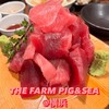THE FARM PIG＆SEA