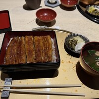 うなぎ 目白ぞろ芽 - 