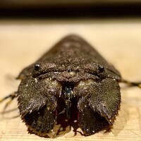 WASHOKU たか木 - なかなかコワモテの面構え宮崎産のウチワ海老は、地元ならではの海老。地元ではパッチン海老と呼ばれるセミ海老の一種。