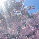 グリル金プラ - 