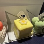 Masahiko Ozumi Paris - ミニアソート