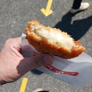 高崎ほるもん達磨_1