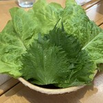 焼肉金金 - サンチュ