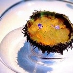 ウニ・冬瓜・スダチ