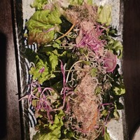 鉄板焼　ぼんの - 