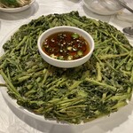 プルトゥンヌンテジ - 