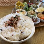 Bluebell  - ご飯大盛り