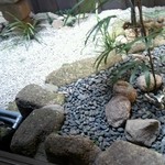Hakata Motsunabe Yamaya - 中庭があります