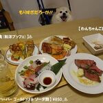 KAREN 浜名湖 with Dog