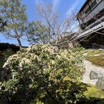 手打蕎麦鶴㐂 - 