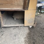 田舎うどん てつ - 