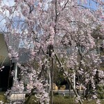 京都北山モノリス - 