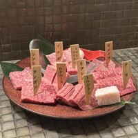 みやび 六本木店 - A5黒毛和牛希少部位 9種類盛り合わせ 