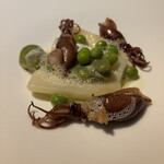 マルゴット エ バッチャーレ - 